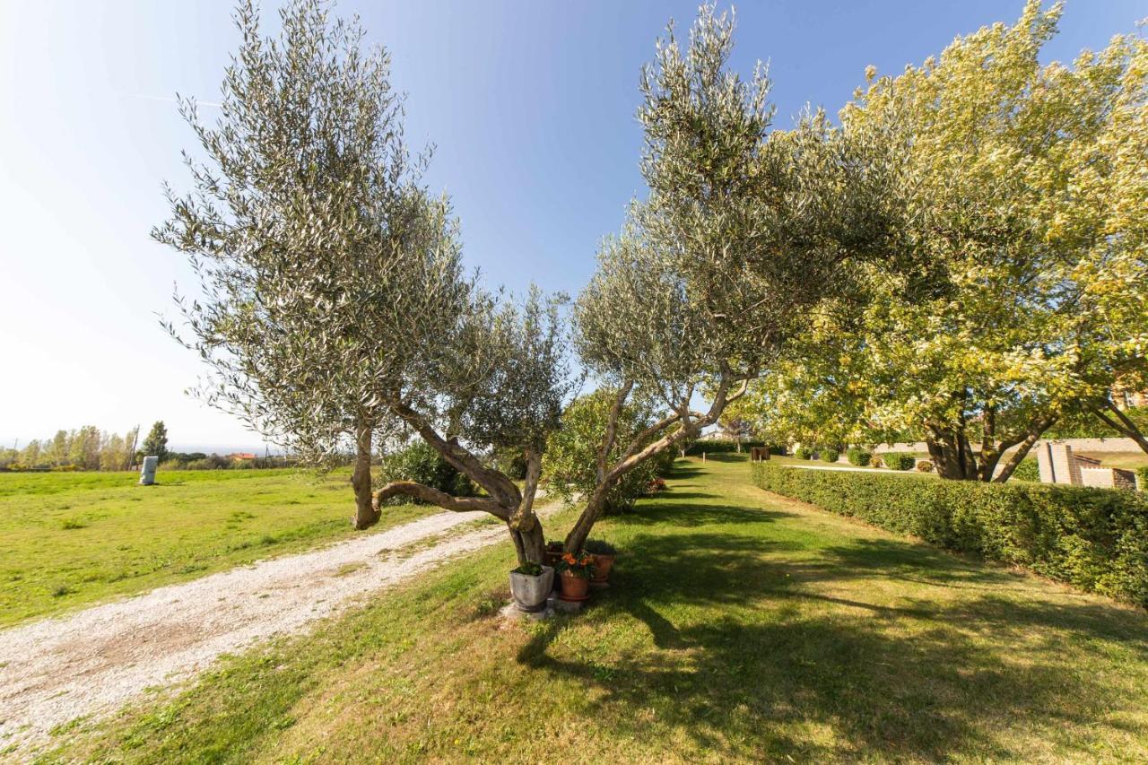 Agriturismo Bella Cima 몬테피아스콘 외부 사진