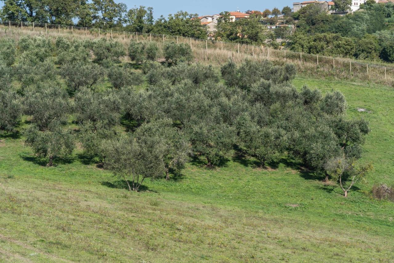 Agriturismo Bella Cima 몬테피아스콘 외부 사진